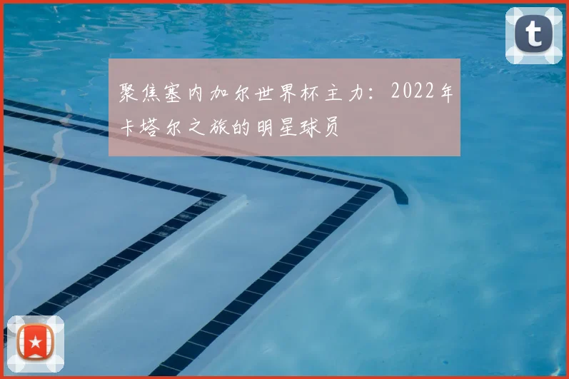 聚焦塞内加尔世界杯主力：2022年卡塔尔之旅的明星球员