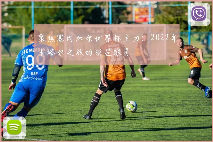 聚焦塞内加尔世界杯主力：2022年卡塔尔之旅的明星球员