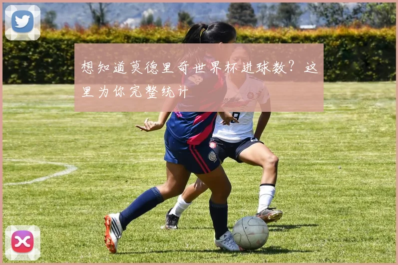 想知道莫德里奇世界杯进球数？这里为你完整统计